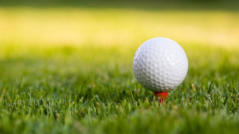 Bóng chơi golf cũng là một trong những dụng cụ quan trọng đối với golfer