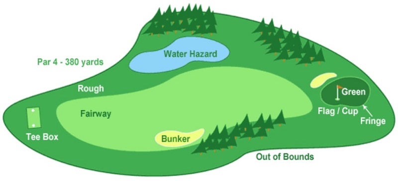 Các nhóm thành phần chính của một sân tập golf
